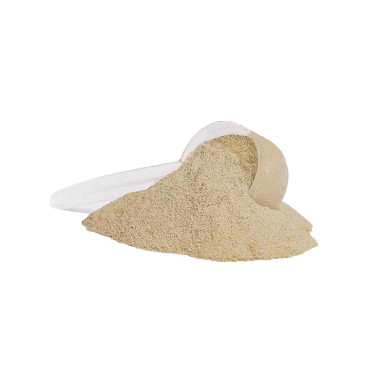 Advanced 100% Whey Protein Isolate (Vanilla)
